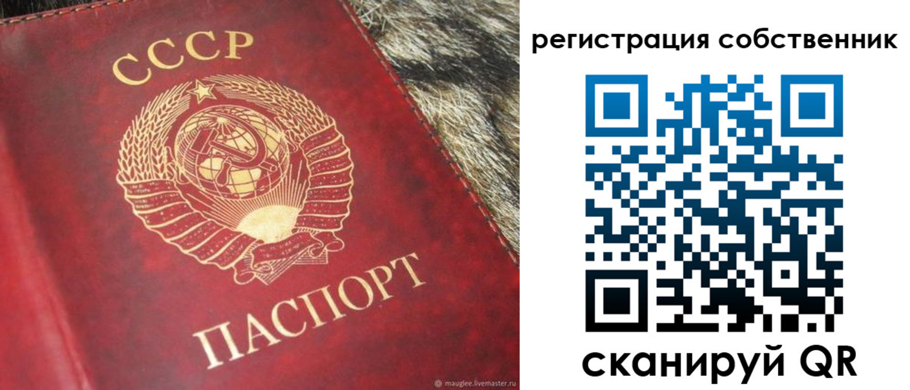 временная регистрация надежно в Тамбовской области